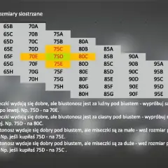Jakie są preferencje dotyczące idealnego rozmiaru biustu? Zaskakujące wyniki!