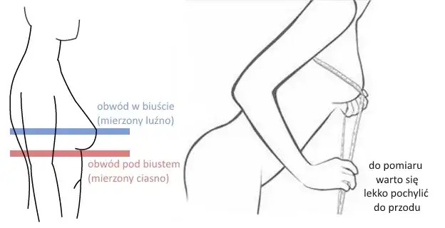 Zdjęcie Jakie są preferencje dotyczące idealnego rozmiaru biustu? Zaskakujące wyniki!